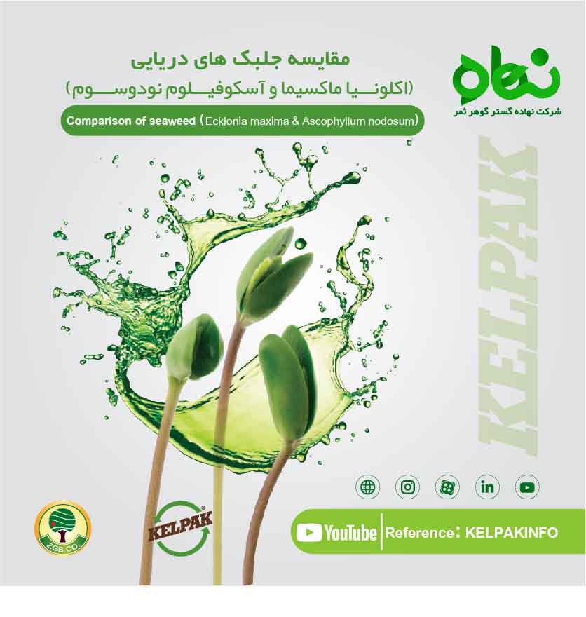 Comparison of seaweeds